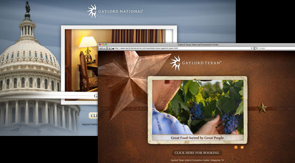 Custom Flash Design and Development Completed for Gaylord Entertainment