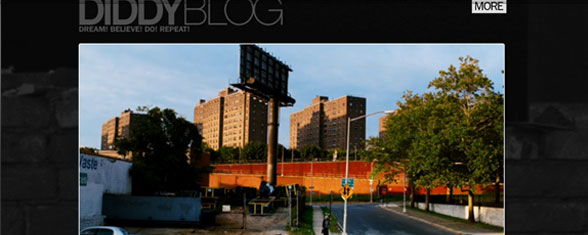 DIDDYBLOG.com Website Design and Development