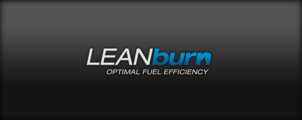 LeanBurn Logo Design